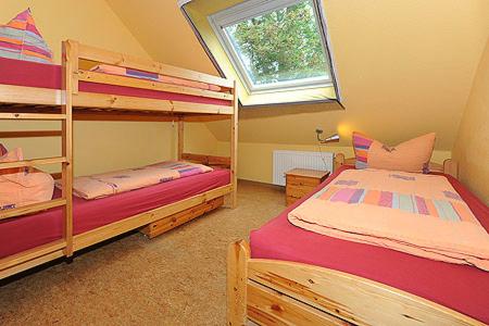 1 Schlafzimmer mit 2 Etagenbetten und einem Fenster in der Unterkunft Reit- und Ferienhof Maack in Neuharlingersiel