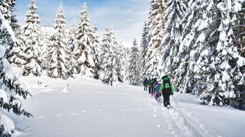 a group of people cross country skiing through a snow covered forest at Hotel Drumlerhof in Campo Tures