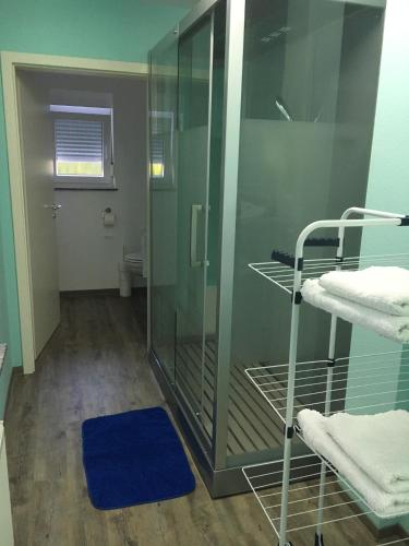 a bathroom with a glass shower with a blue rug at Ferienwohnung Pfeifer in Friedrichsdorf