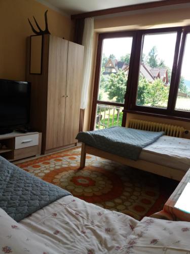 ザコパネにあるNoclegi u Annyのベッドルーム1室(ベッド2台、大きな窓付)