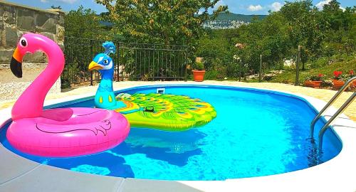 a plastic swan and a toy flamingo in a pool at Holiday Home Deni in Roč