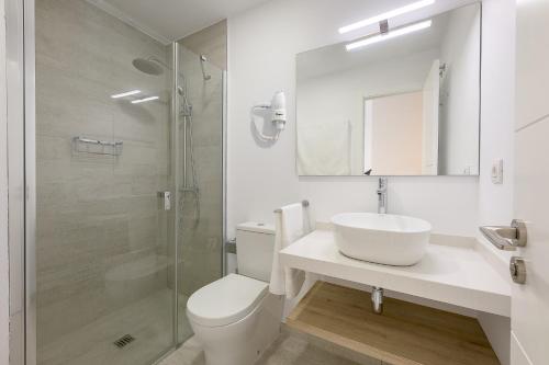 y baño con aseo, lavabo y ducha. en Plaza de La Feria Premium Apartments, en Las Palmas de Gran Canaria
