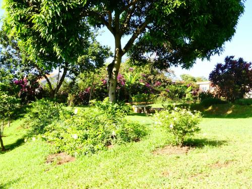 
Pineapple Guest House Entebbe tesisinin dışında bir bahçe
