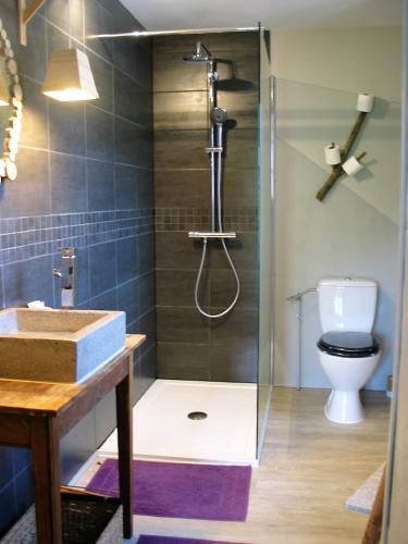une salle de bain avec une douche avec des toilettes et un lavabo dans l'établissement La Chêneraie, à Payrac