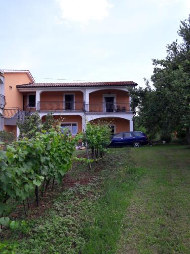 Zahrada ubytování Exclusive Apartment Ana Marija