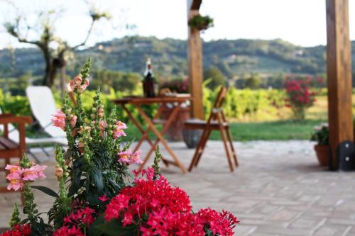 a patio with flowers and a table with a bottle of wine at Le Case in Bevagna