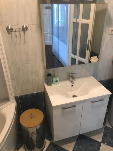 a bathroom with a sink and a toilet and a mirror at Apartment A-zone Zagreb in Zagreb