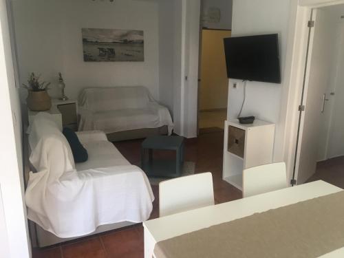 un salon avec un canapé et une télévision dans l'établissement Piso Coqueto, à Alicante
