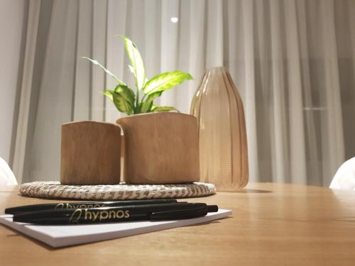 a wooden table with two plants on top of it at Hypnos Boutique Hotel in Nicosia