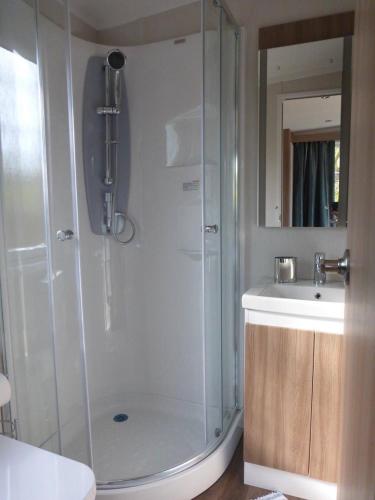 a bathroom with a shower and a sink at The Swan Suite in Belford