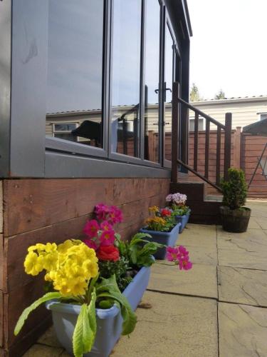 a row of potted flowers sitting outside of a building at The Swan Suite in Belford