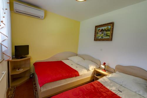 a small bedroom with two beds and a television at Rooms & Apartments Jana in Cerklje na Gorenjskem