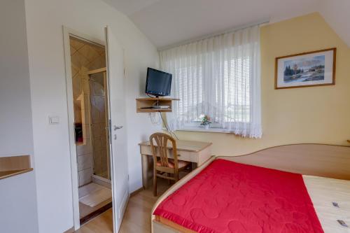 a bedroom with a bed and a desk and a television at Rooms & Apartments Jana in Cerklje na Gorenjskem