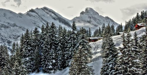 a snow covered mountain with trees and a ski lift at Hotel Alpina in Mürren