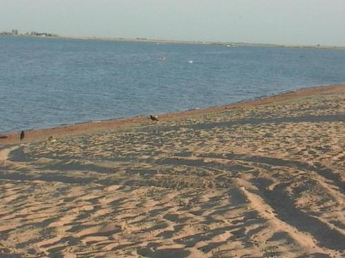a sandy beach with a large body of water at Гостевой дом Сафар in Kapchagay