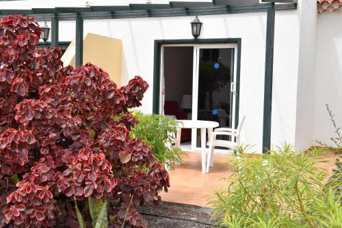 a patio with red plants and a white house at Las Adelfas 2 in San Miguel de Abona
