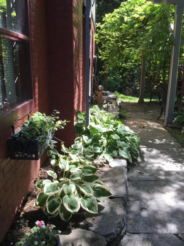 Amherst Inn – Fotos 3