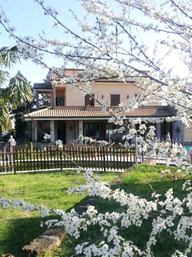 a house with a fence and a tree with white flowers at Luconi Affittacamere in Iesi