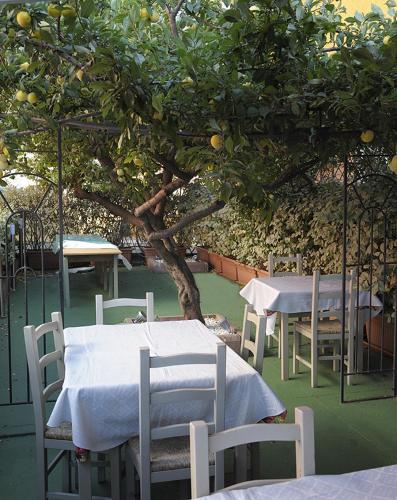 einen Tisch und Stühle unter einem Zitronenbaum in der Unterkunft L'arcobaleno in Valledoria