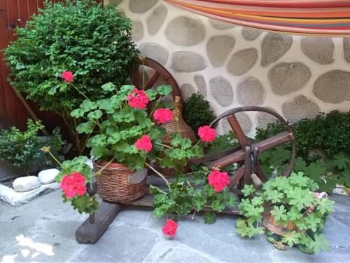 Κήπος έξω από το Guest House Planinski Zdravets