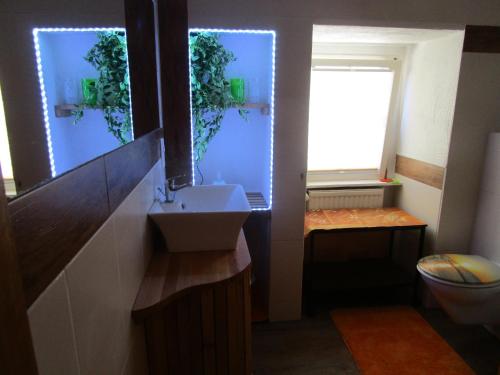 uma casa de banho com um lavatório, um WC e uma janela. em Ferienhaus "Einfach wohnen" em Beilstein