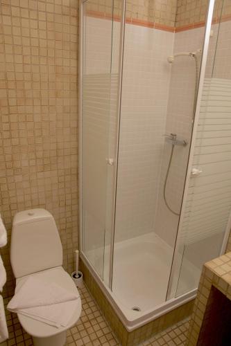 a bathroom with a shower and a toilet and a shower at Appart'Hôtel Residence Dizerens in Geneva