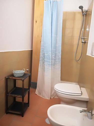 a bathroom with a toilet and a shower at Il Cerro Agriturismo Zagarese in Fuscaldo