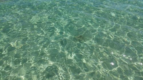 a close up of the clear ocean water at Villa oasi in Fontane Bianche