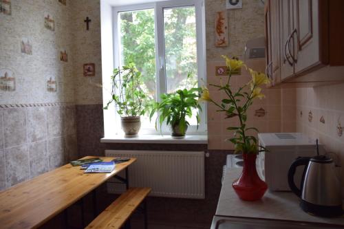 a kitchen with two potted plants and a window at Hotel Kardinal in Vinnytsya