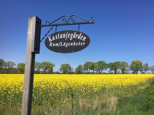 a sign in front of a rapeseed field at Kastanjegården på Stenshuvud in Kivik