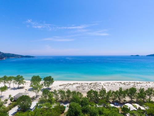 an aerial view of a beach with trees and the ocean at Nikolas Studios in Chrysi Ammoudia