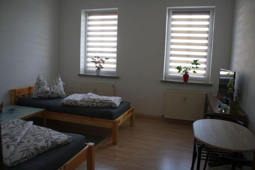 um quarto com duas camas e duas janelas em An der Alten Schule 2 em Oelsnitz