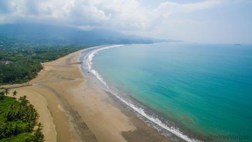 an aerial view of a beach and the ocean at Bungalows Ballena in Uvita