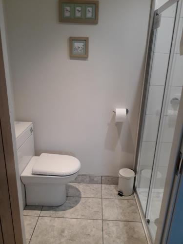 a white bathroom with a toilet and a shower at Foxholes Accommodation in Bristol