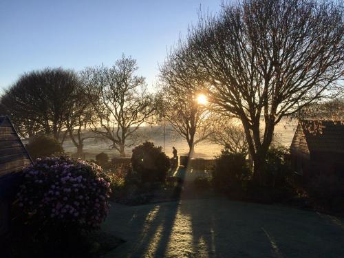 a person walking down a path with the sun shining through trees at Omaka Lodge in Taumarunui