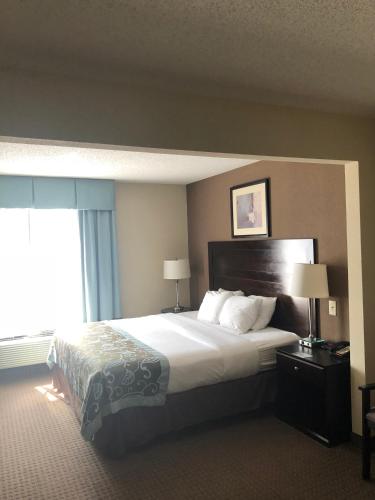 a hotel room with a large bed and a window at Wingate by Wyndham Erlanger - Florence - Cincinnati South in Erlanger