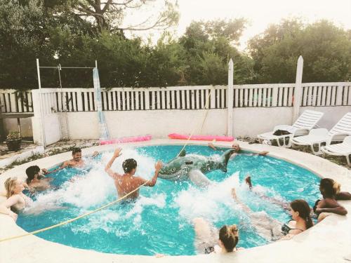 a group of people playing in a swimming pool at Dragan's Den Hostel in Korčula