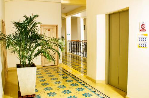 a hallway with a potted plant in a building at Hotel Med Barranquilla Centro in Barranquilla
