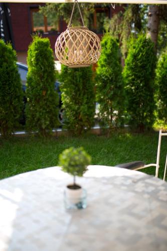 Apartments Cvetkovic Relaxにある庭