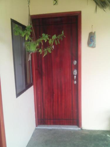 a red door with a plant in front of it at The Cottages by the Sea in San Clemente