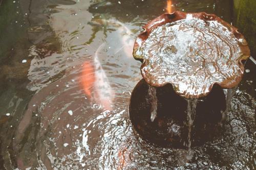 a fire hydrant in a body of water at RQS Hostel in Tacloban