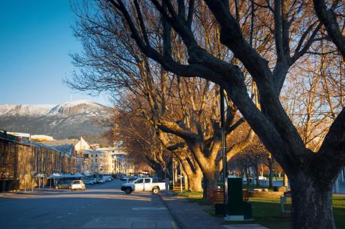 a white truck driving down a street with trees at Salamanca Suites in Hobart