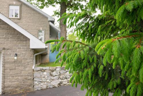 Rock Hill Bed & Breakfast – Photos 4