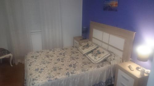 1 dormitorio con cama y pared azul en Bonhome Posío Termal en Ourense
