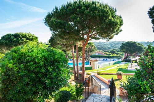 a garden with a tree and a swimming pool at Hotel La Romarine in Saint-Tropez