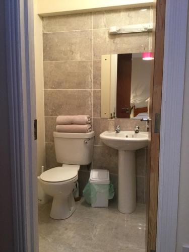 a bathroom with a toilet and a sink at Rose Alley Apartment in Westport