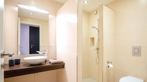 a bathroom with a sink and a shower at Ferienwohnung Mittelsberg in Konstanz