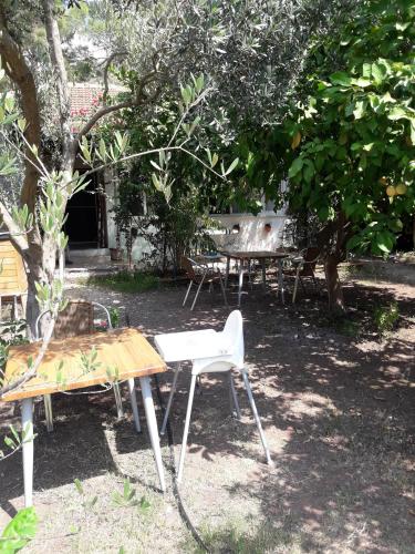 Κήπος έξω από το Bungalow Halil
