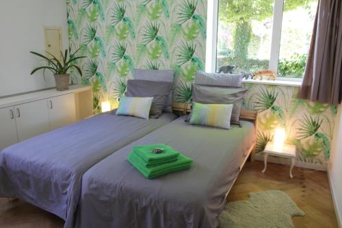 a bedroom with a bed with a green box on it at De Oude Kleuterschool in Zoelen