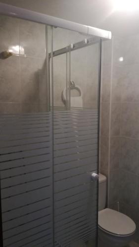 a bathroom with a shower with a toilet and a sink at Pensión Residencia Miñones in Bayo Grande